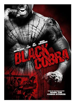 Black Cobra (2012) Hindi Dual Audio 720p BluRay [830MB]