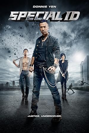 Special ID (2013) Hindi Dual Audio 720p BluRay [1.3GB] ESubs